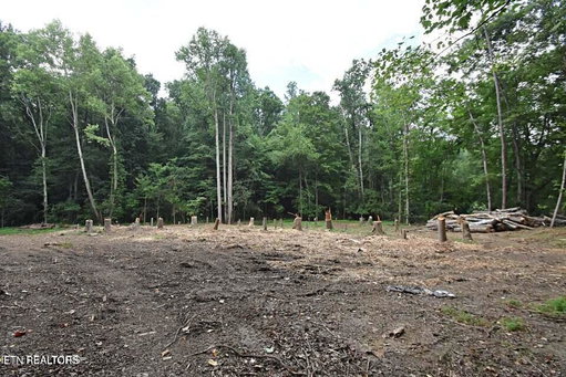 Media Image 2