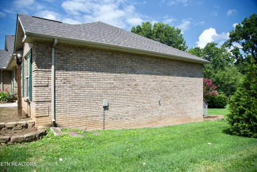 Media Image 2