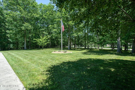 Media Image 3