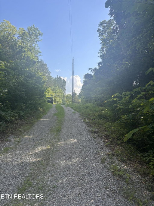Media Image 2
