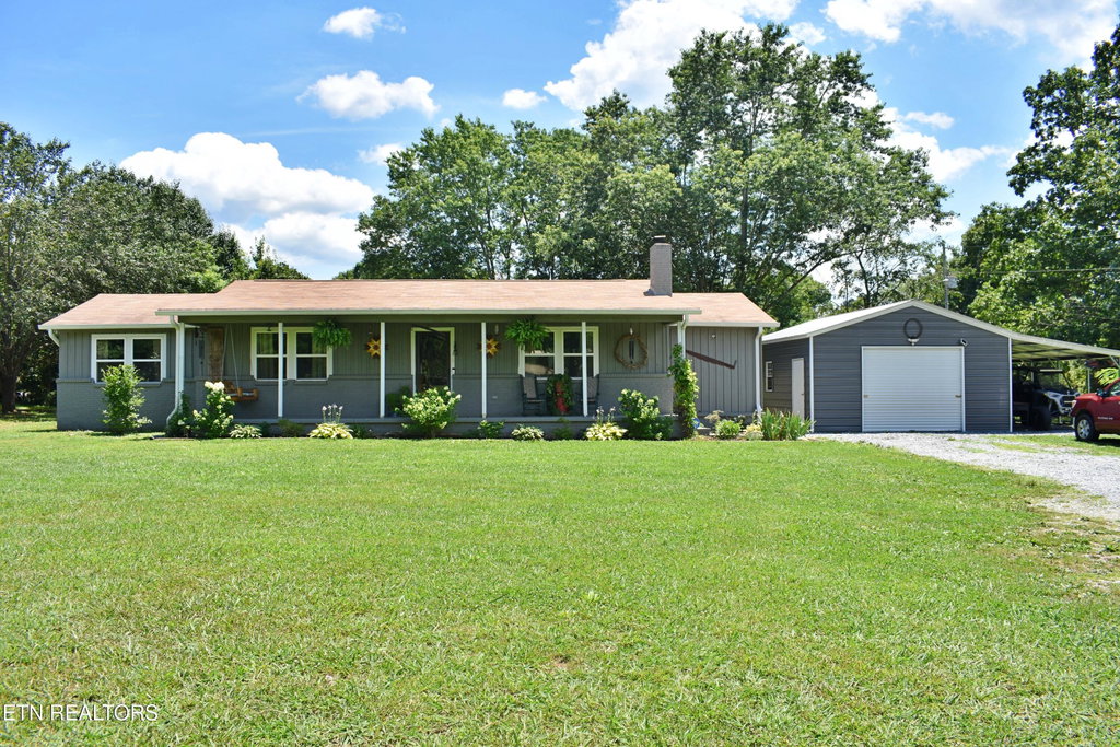 Media Image 1