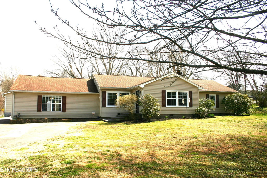 Media Image 1