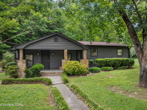 Media Image 2