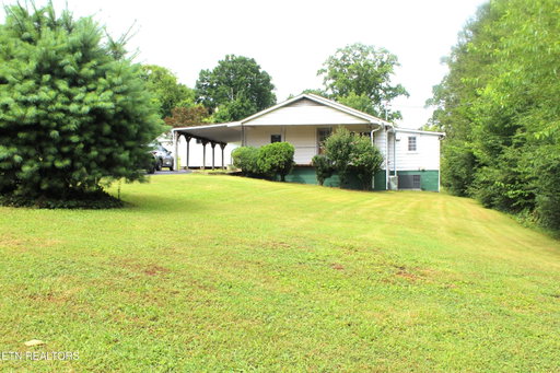 Media Image 2