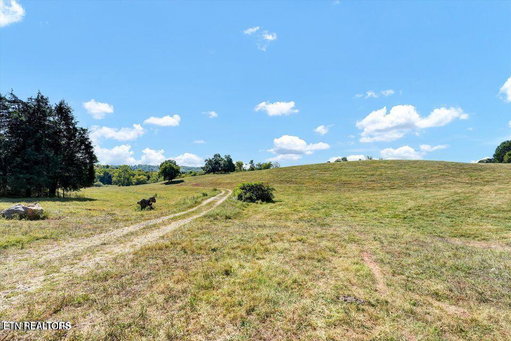 Media Image 3