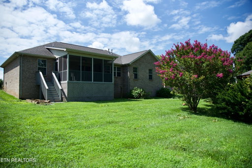 Media Image 3
