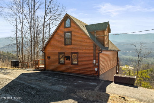 Media Image 3