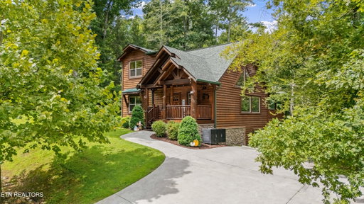 Media Image 2