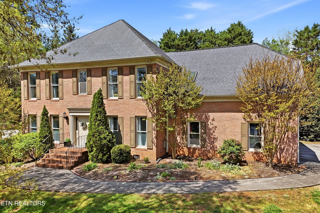 Media Image 1