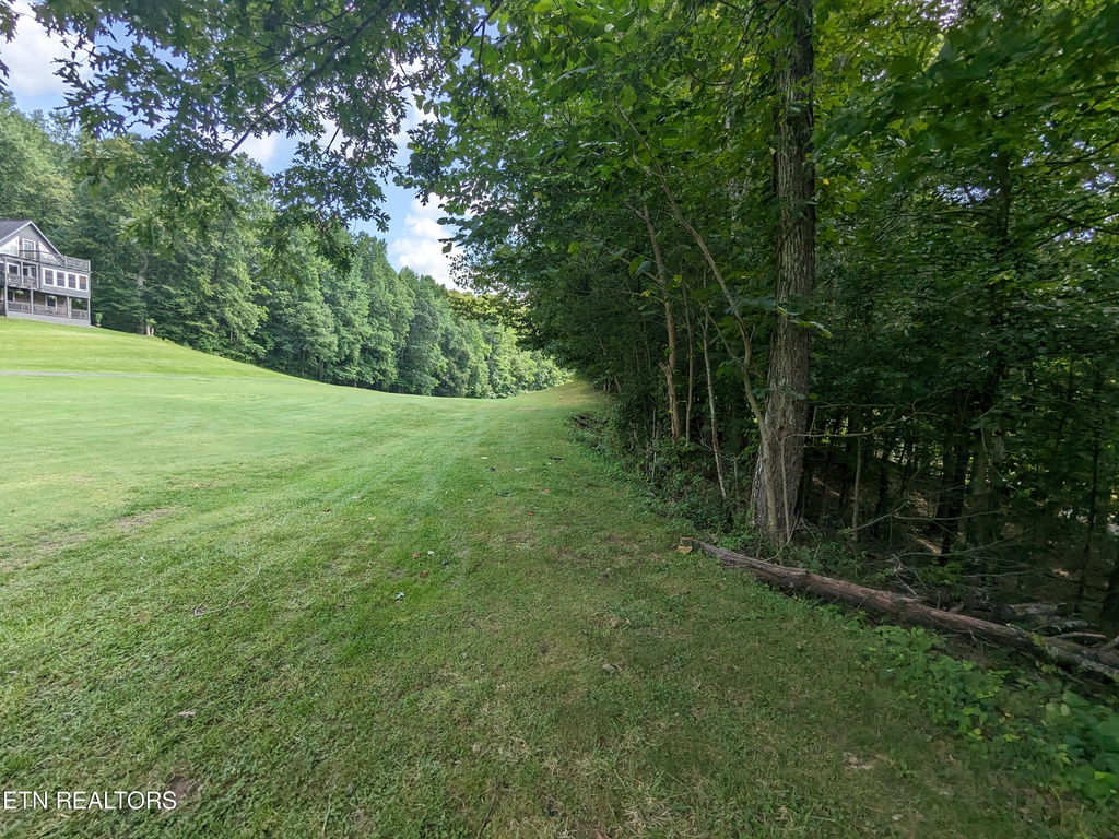 Image Unavailable