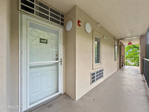 Media Image 3