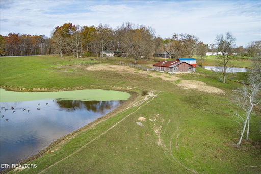 Media Image 2