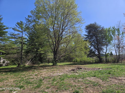 Media Image 2