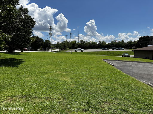 Media Image 3