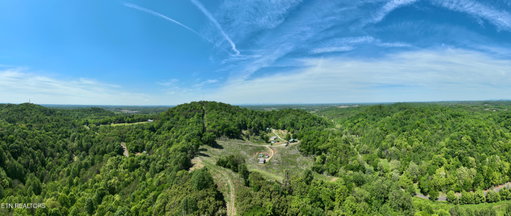 Media Image 3