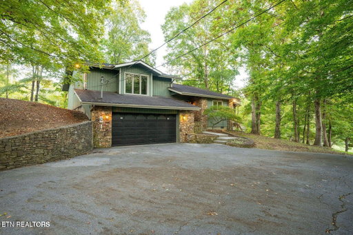 Media Image 3