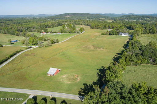 Media Image 2
