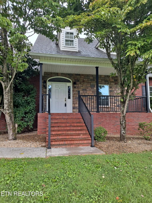 Media Image 2