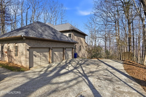 Media Image 3