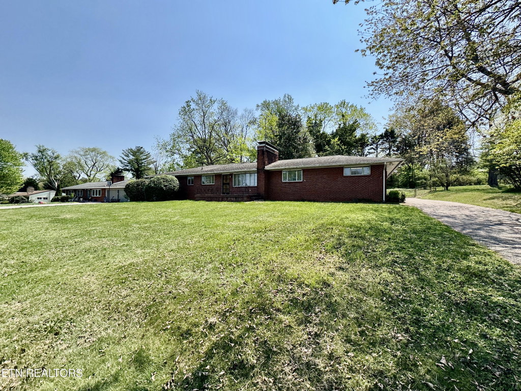 Media Image 1