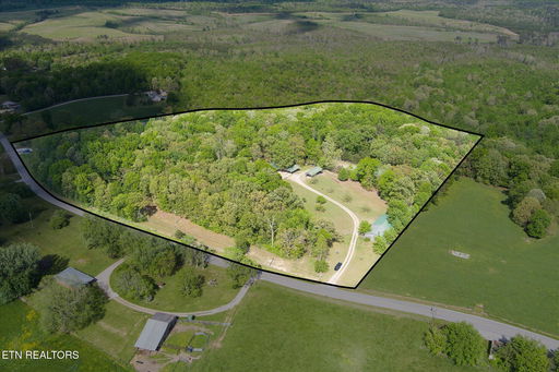 Media Image 3