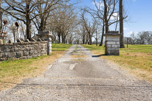 Media Image 3