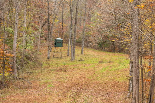 Media Image 3