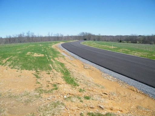 Media Image 3