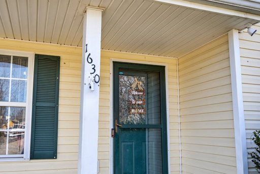 Media Image 3