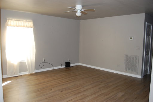 Media Image 3