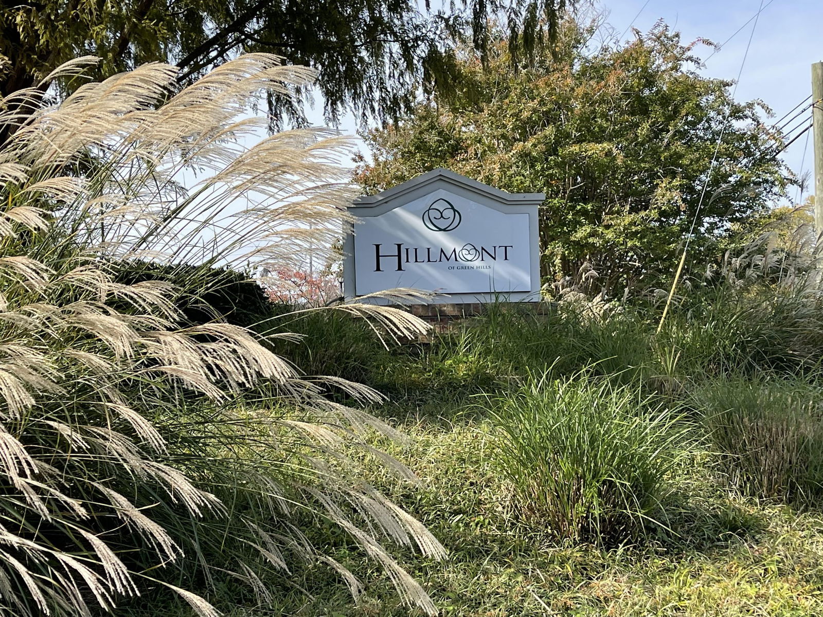 Image Unavailable