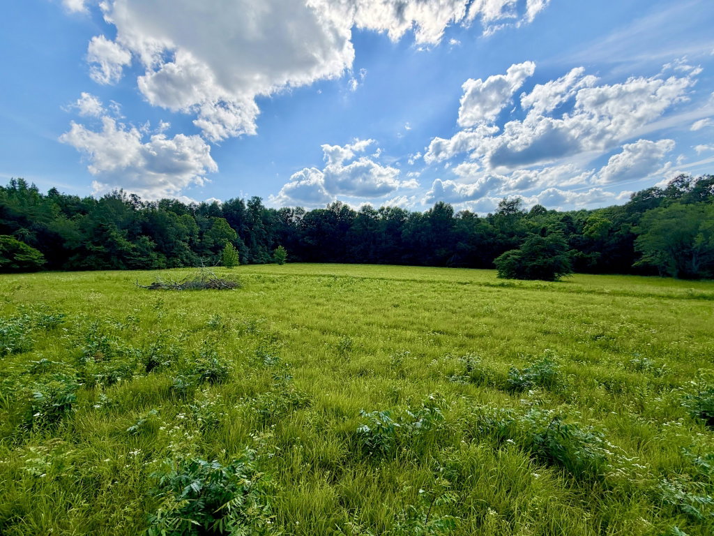 Image Unavailable