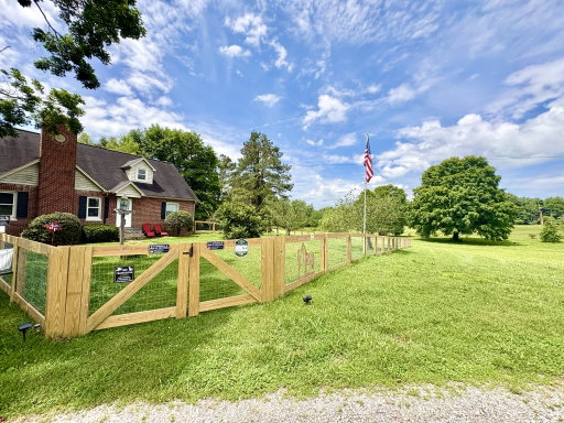 Media Image 2