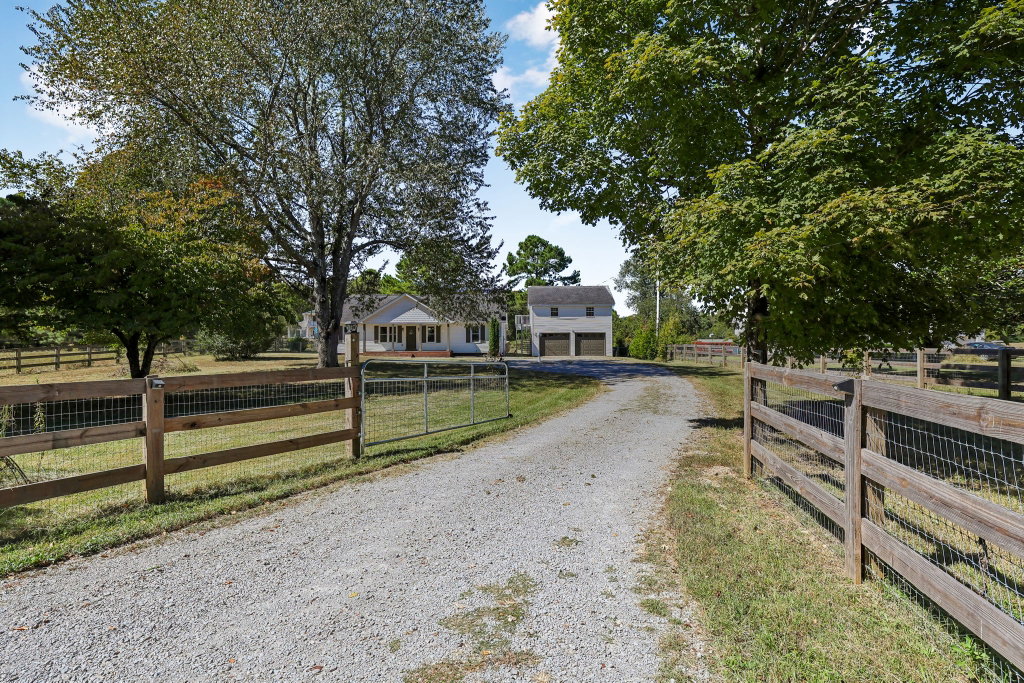 Media Image 1