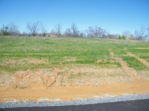 Media Image 2