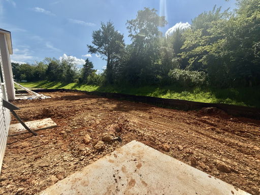 Media Image 3