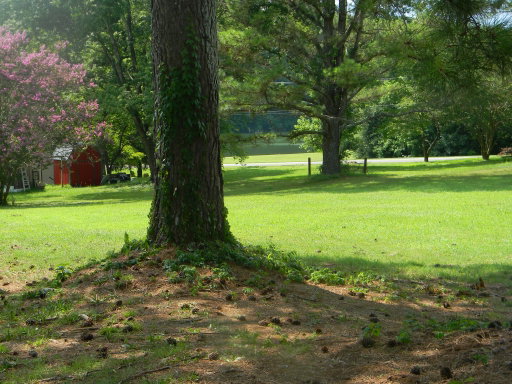 Media Image 2
