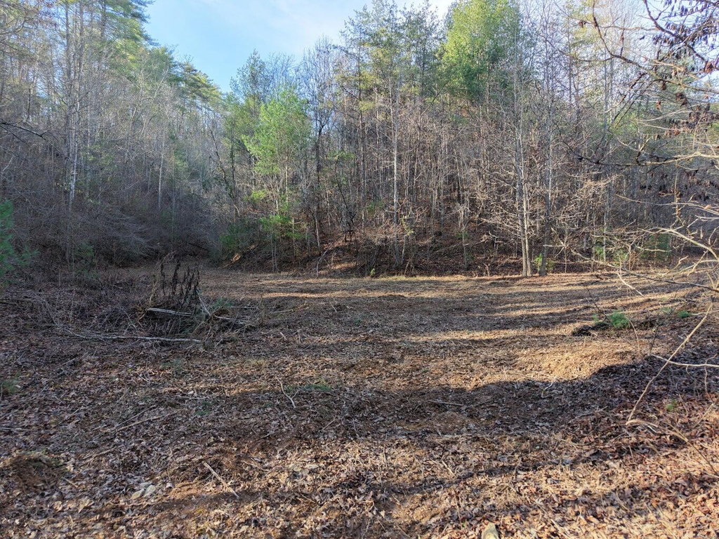 Image Unavailable