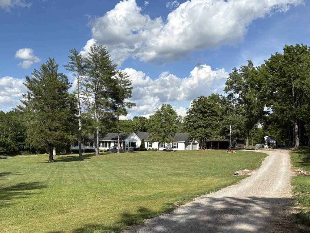 Media Image 1