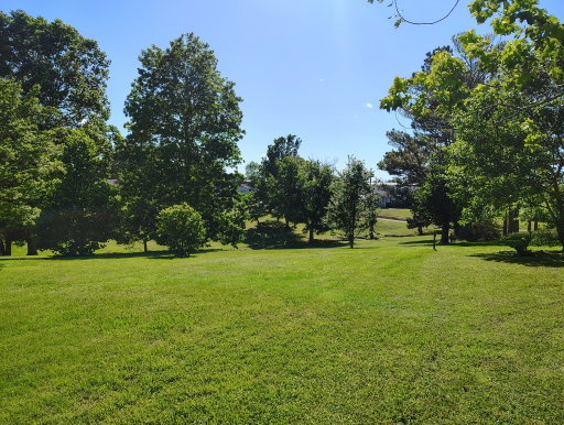 Media Image 3