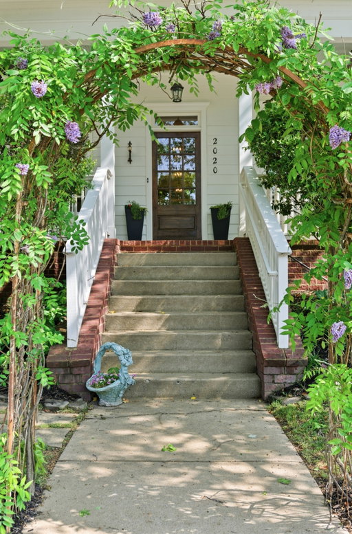 Media Image 2