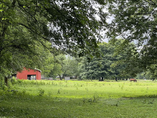Media Image 2