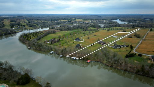 Media Image 2