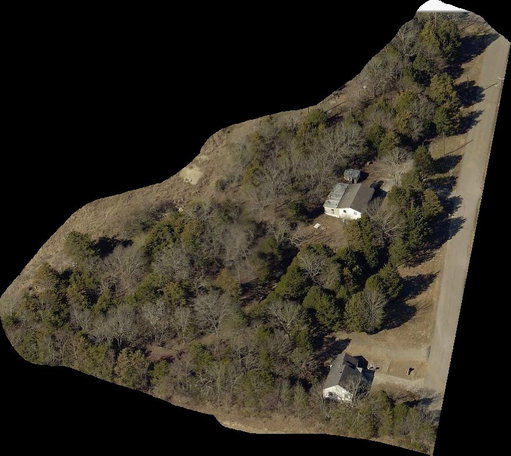 Media Image 3