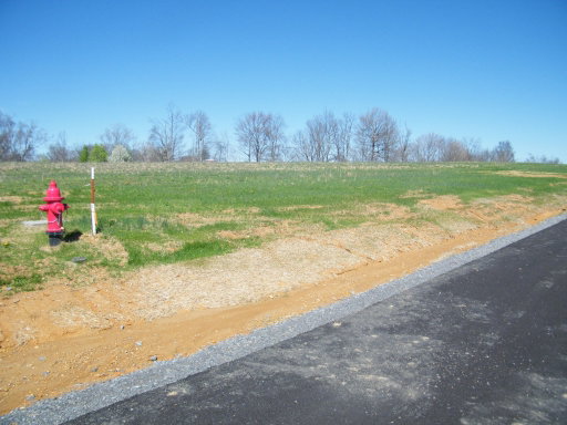 Media Image 3