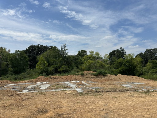 Media Image 2