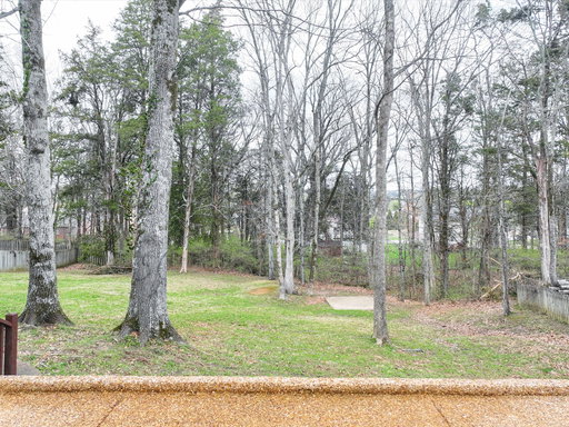 Media Image 3