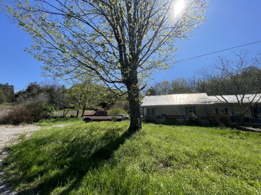 Media Image 2