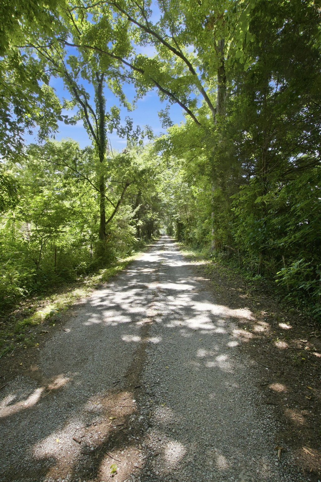 Media Image 1