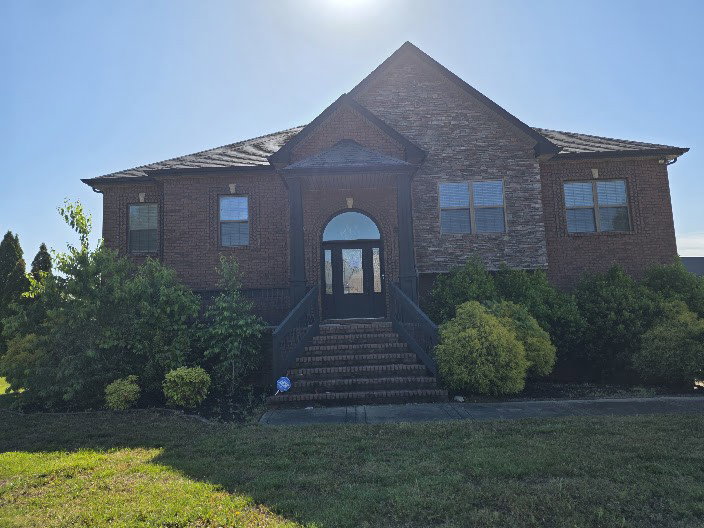 Media Image 1